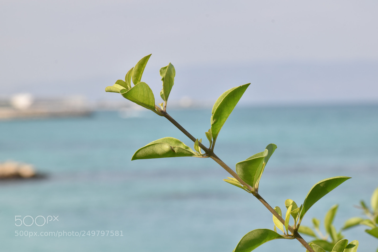 Nikon D5600 sample photo. Sea photography