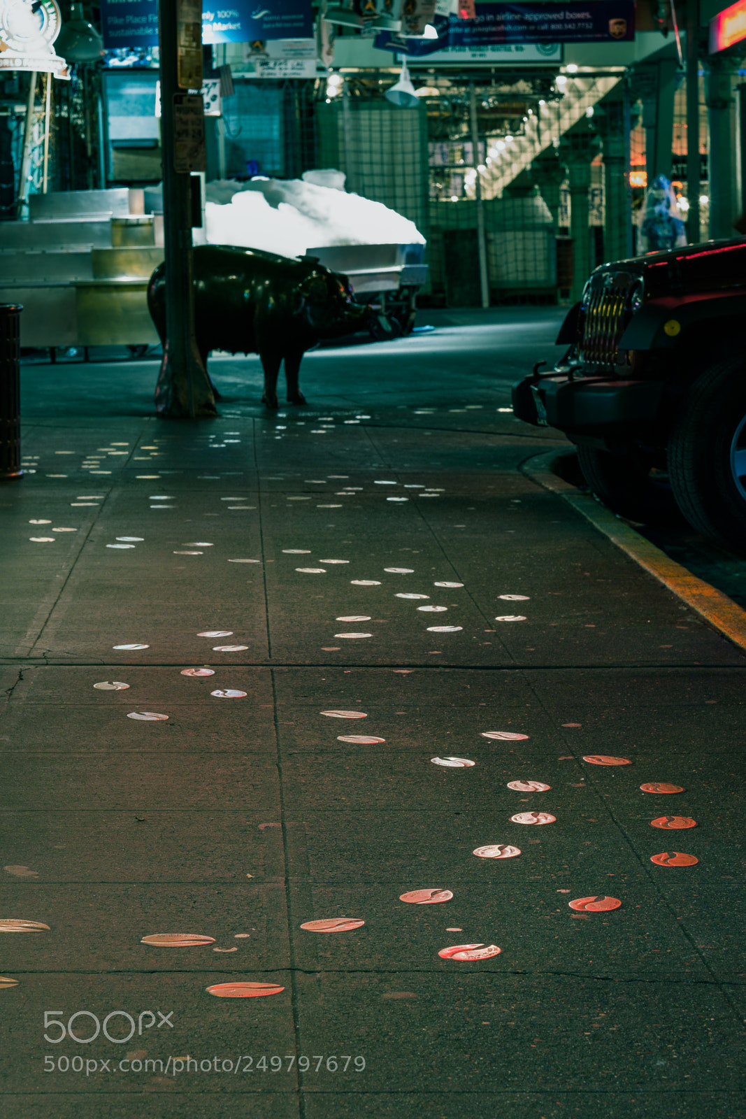 Fujifilm X-T20 sample photo. Pig trail photography