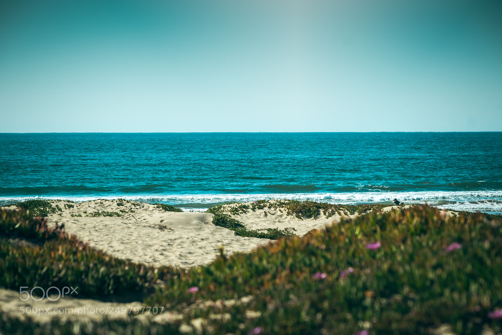 Nikon D5300 sample photo. At the beach photography