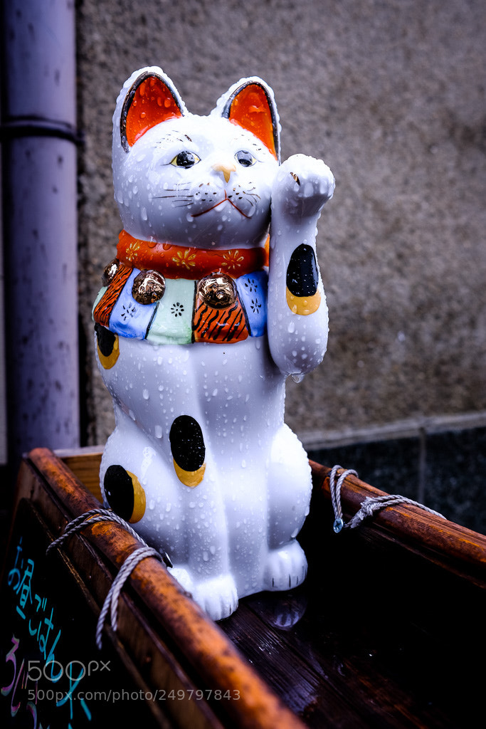 Fujifilm X-T2 sample photo. Dscf photography