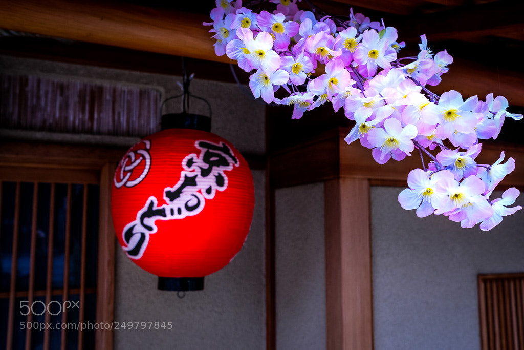 Fujifilm X-T2 sample photo. Dscf photography