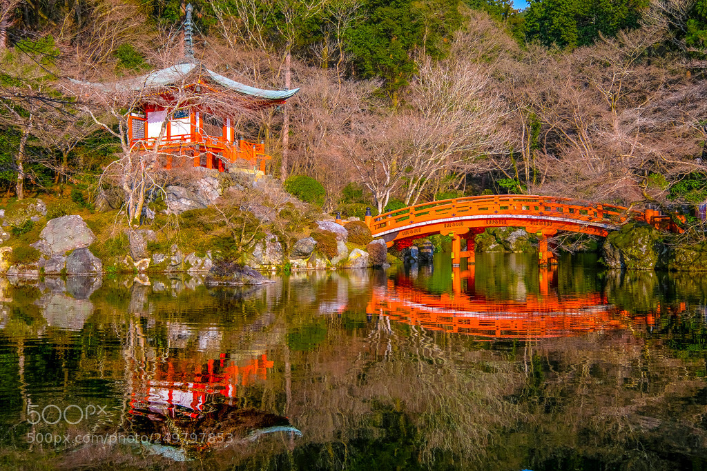 Fujifilm X-T2 sample photo. Dscf0866-2.jpg photography