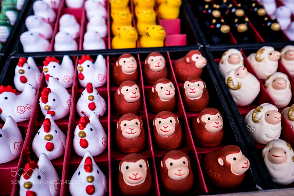 Fujifilm X-T2 sample photo. Dscf photography