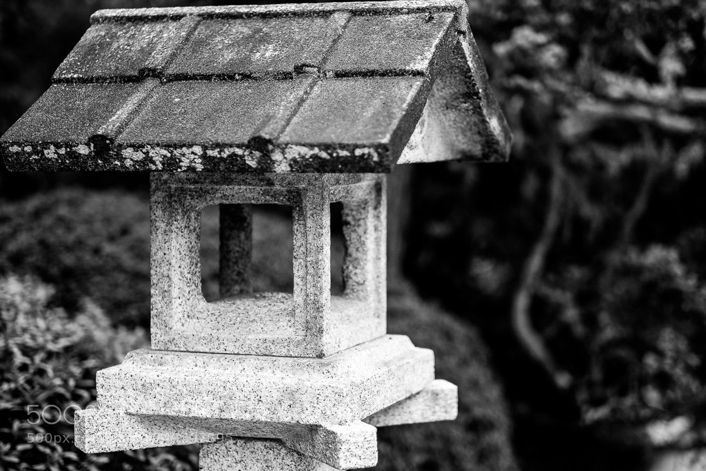 Fujifilm X-T2 sample photo. Dscf photography