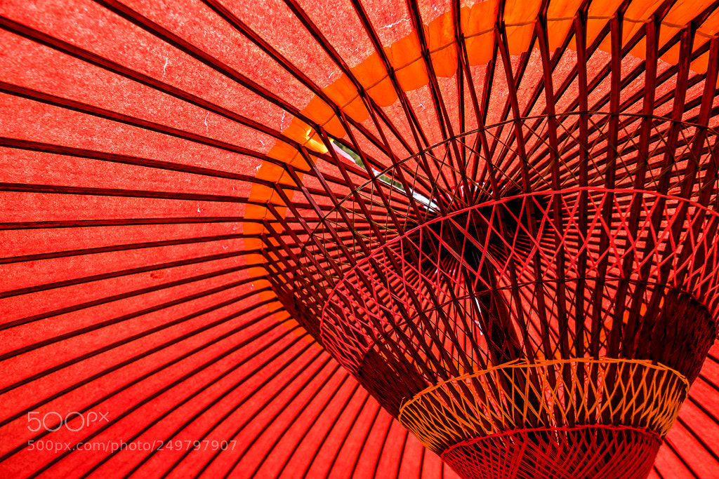 Fujifilm X-T2 sample photo. Dscf photography