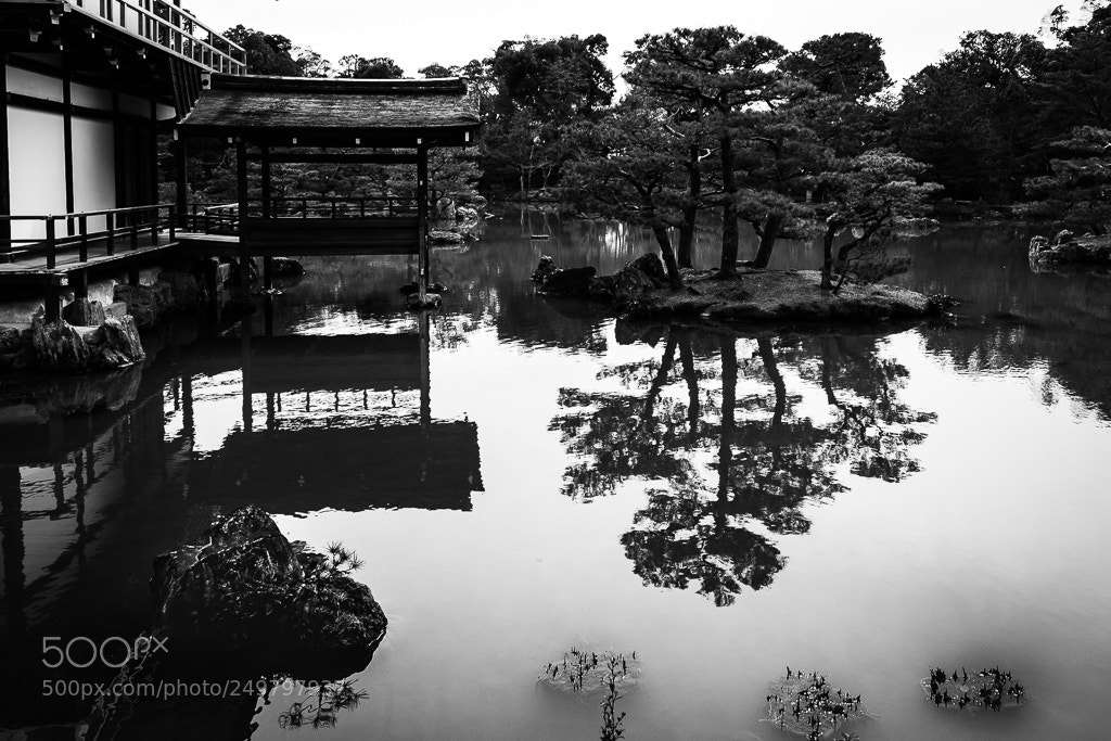 Fujifilm X-T2 sample photo. Dscf0706-2.jpg photography