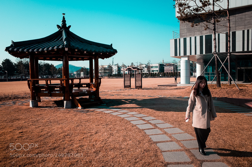 Ricoh GR II sample photo. P photography