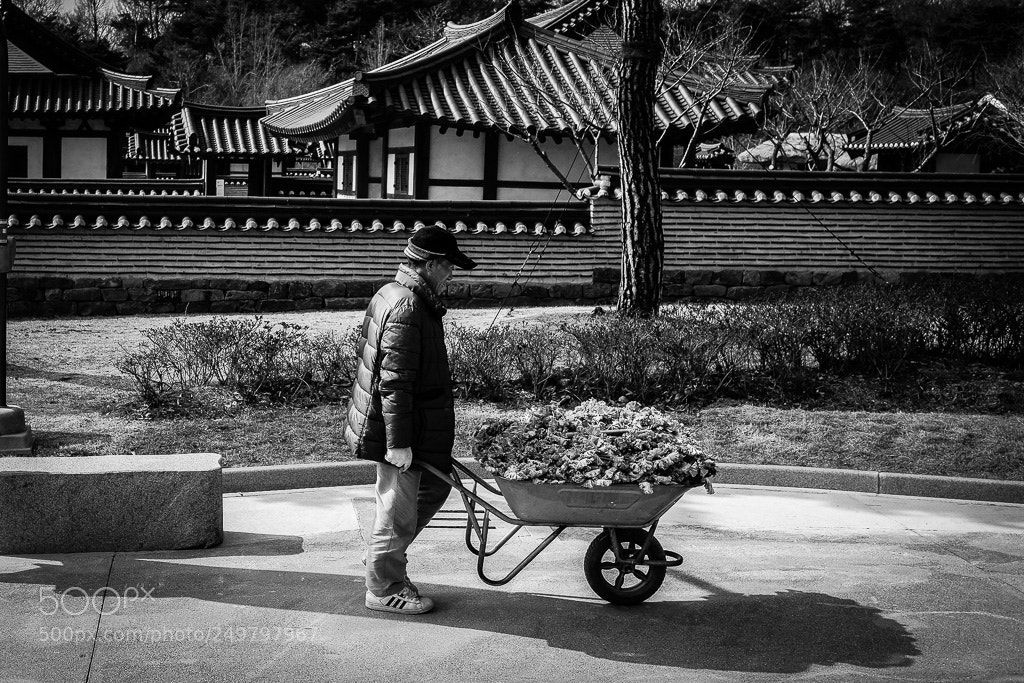 Fujifilm X-T2 sample photo. Dscf photography