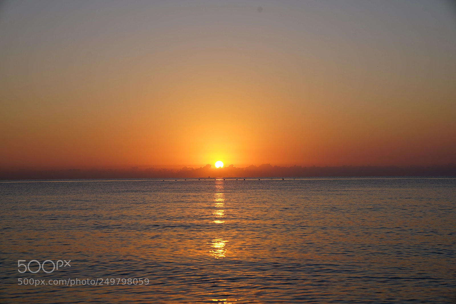 Sony a7R II sample photo. Good morning hollywood beach 03/17/2018 ,     photography
