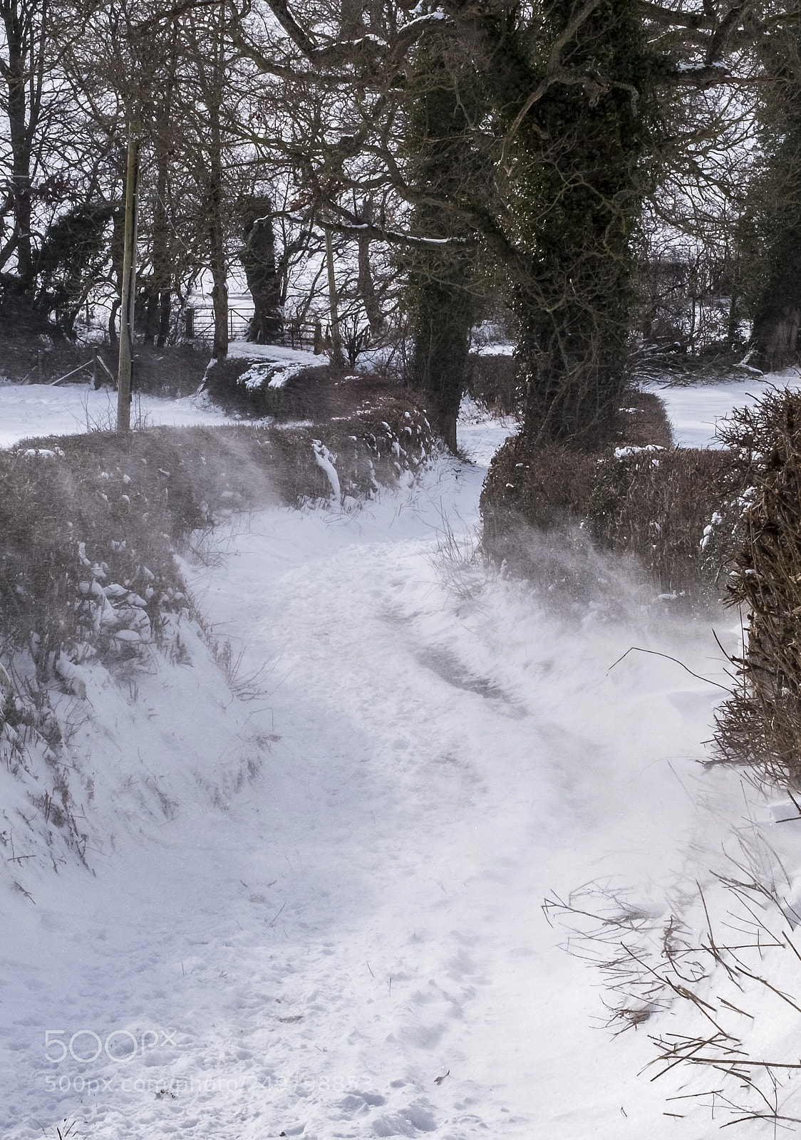 Fujifilm X-T2 sample photo. Wind and snow photography