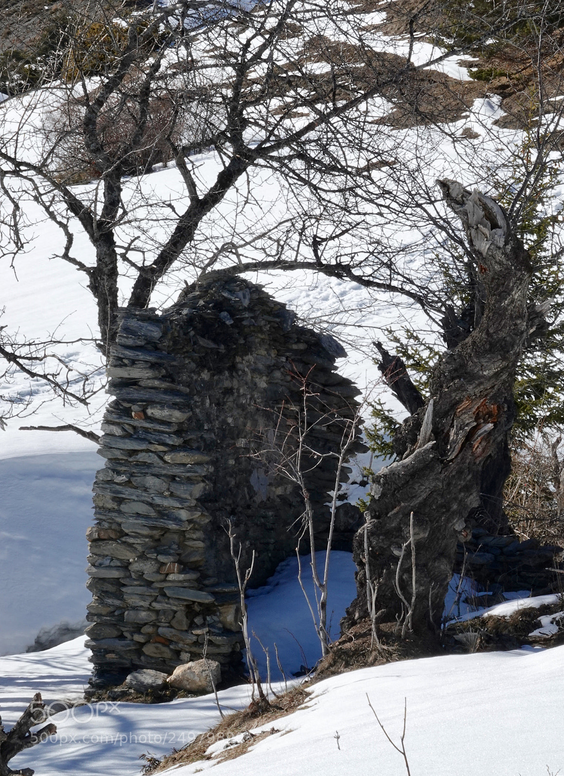 Sony Cyber-shot DSC-RX10 IV sample photo. Ruine photography