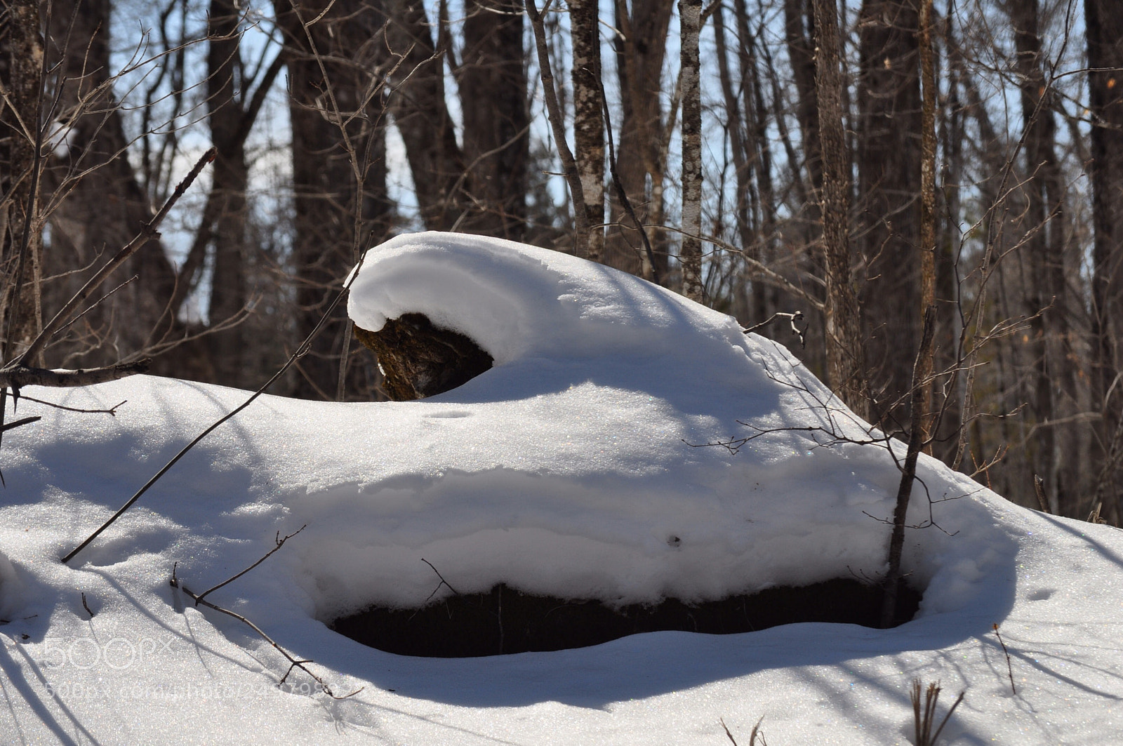 Nikon D5000 sample photo. Snowy wave photography