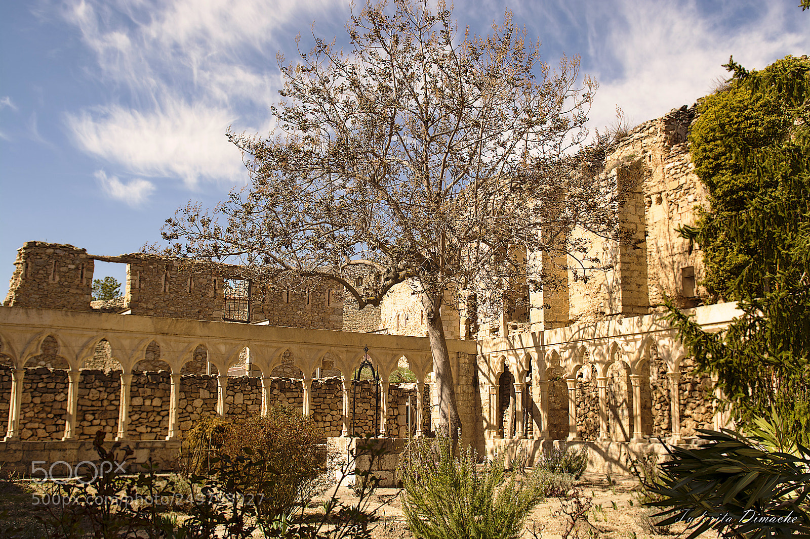 Nikon D7100 sample photo. Garden of the castle photography