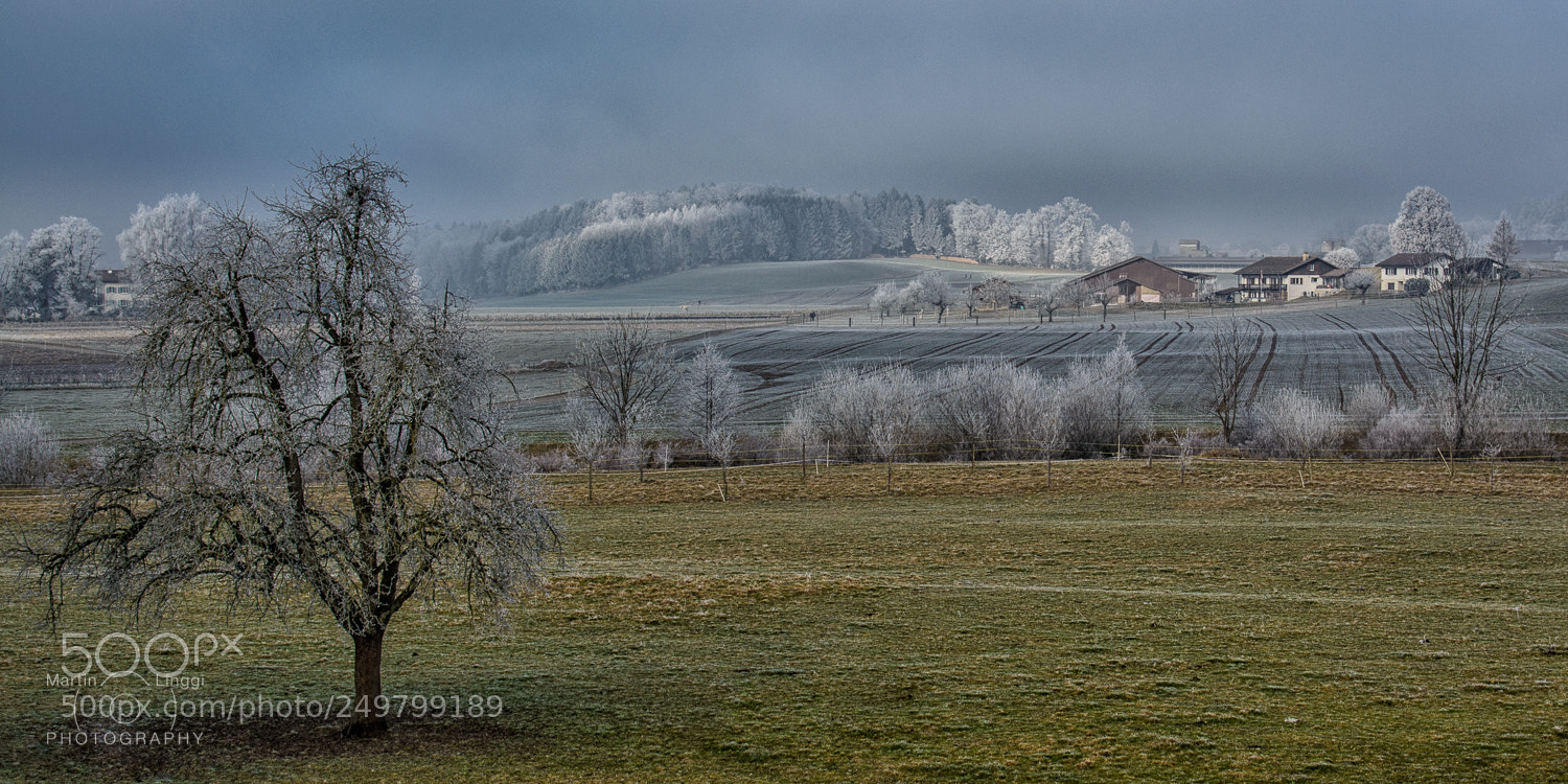 Nikon D5200 sample photo. Cold morning photography