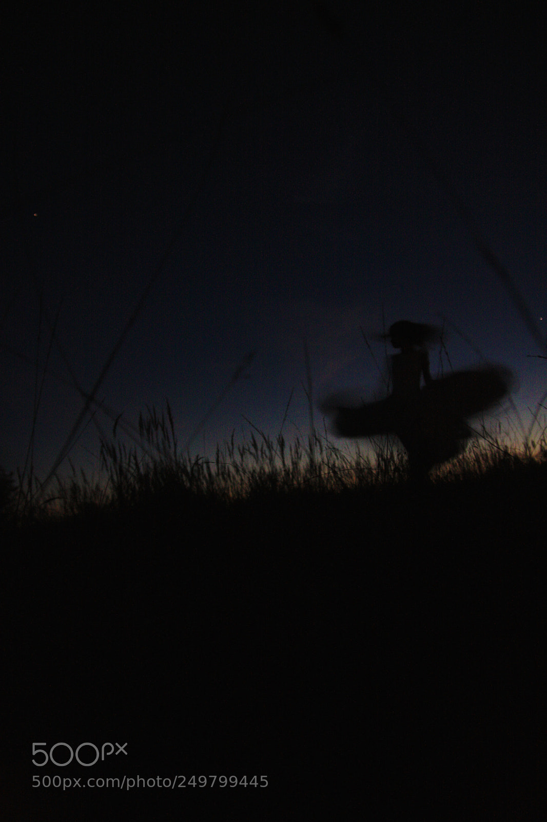 Canon EOS 40D sample photo. Flight photography