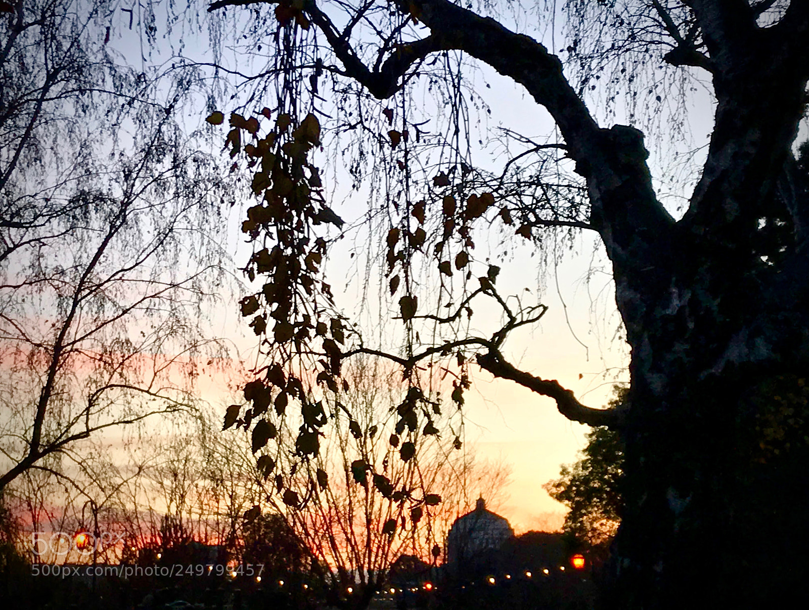 Apple iPhone 7 sample photo. Sunset, park, city photography