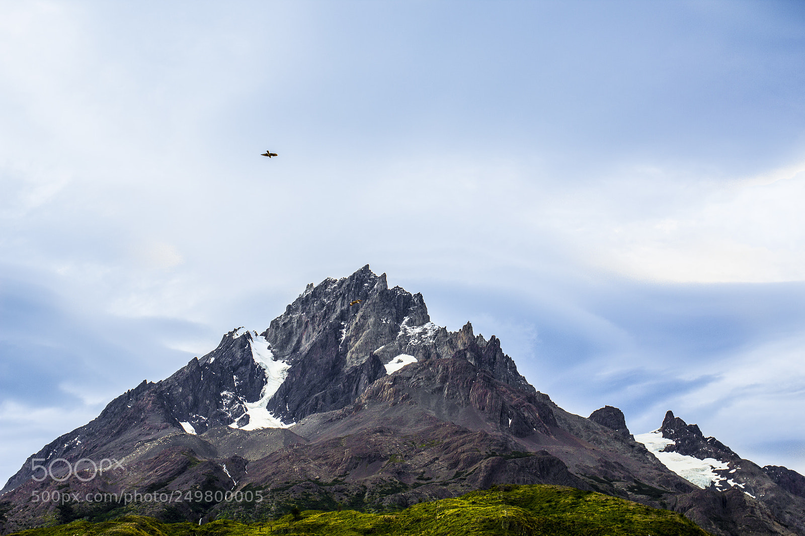 Canon EOS 600D (Rebel EOS T3i / EOS Kiss X5) sample photo. Mountain birds photography