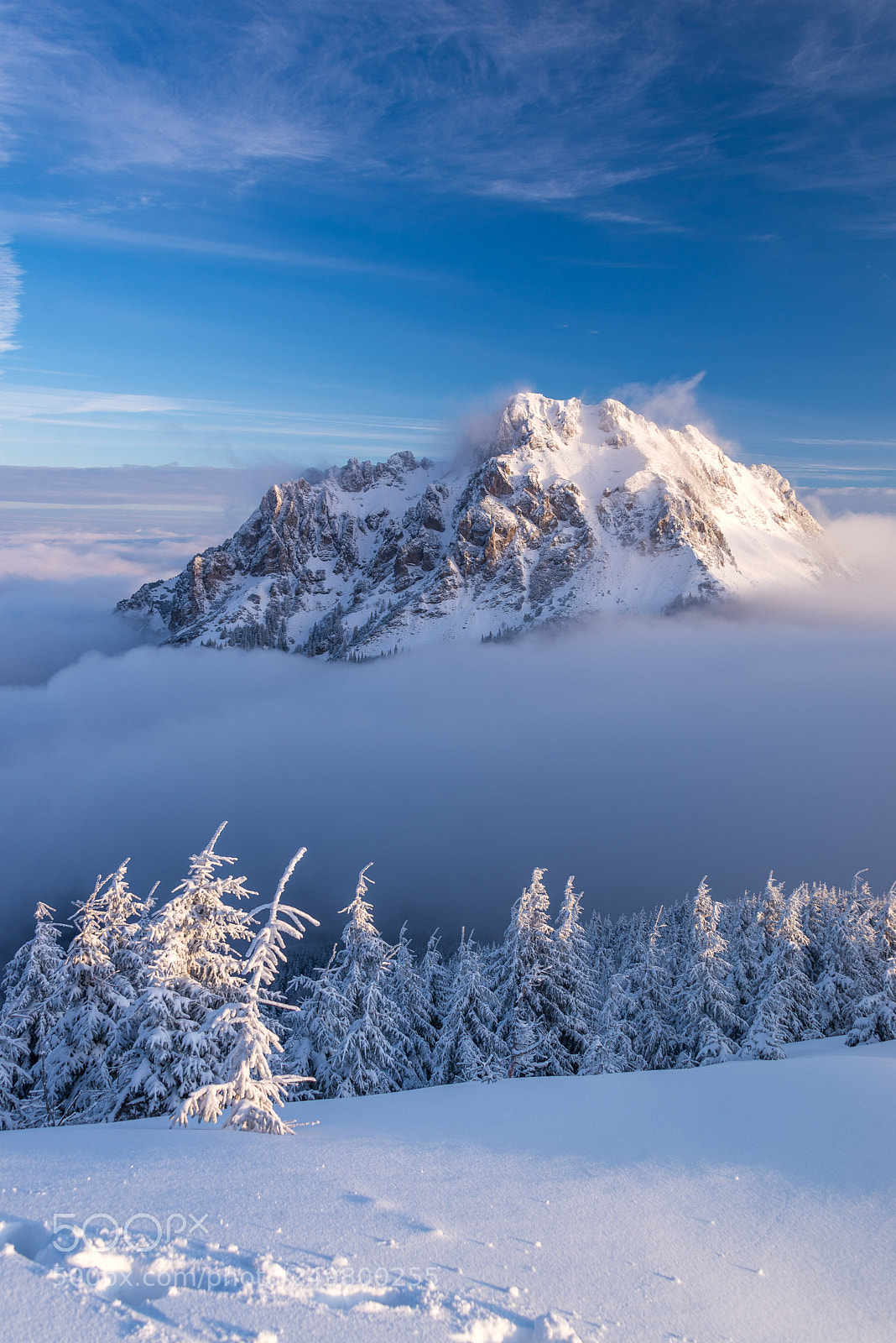 Nikon D610 sample photo. Slovakian mountains photography