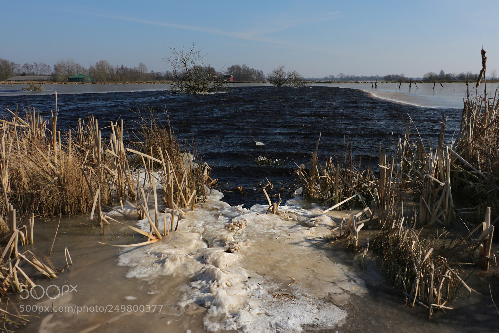 Canon EOS 760D (EOS Rebel T6s / EOS 8000D) sample photo. Winter photography