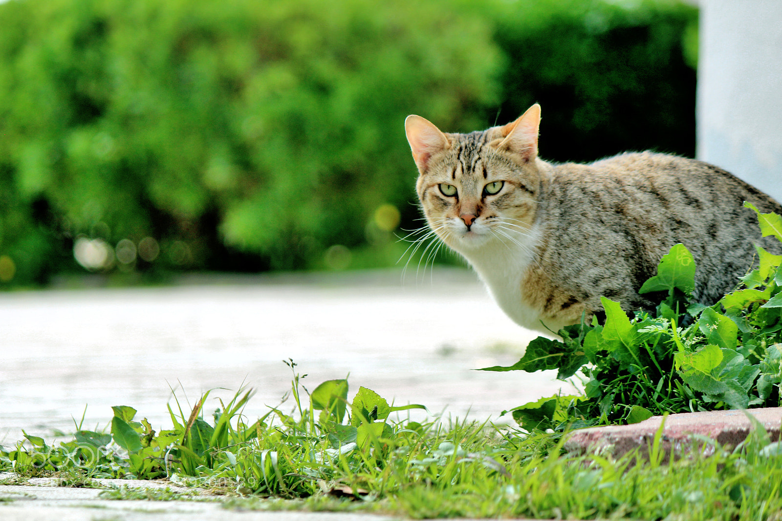 Canon EOS 600D (Rebel EOS T3i / EOS Kiss X5) sample photo. Untitled photography