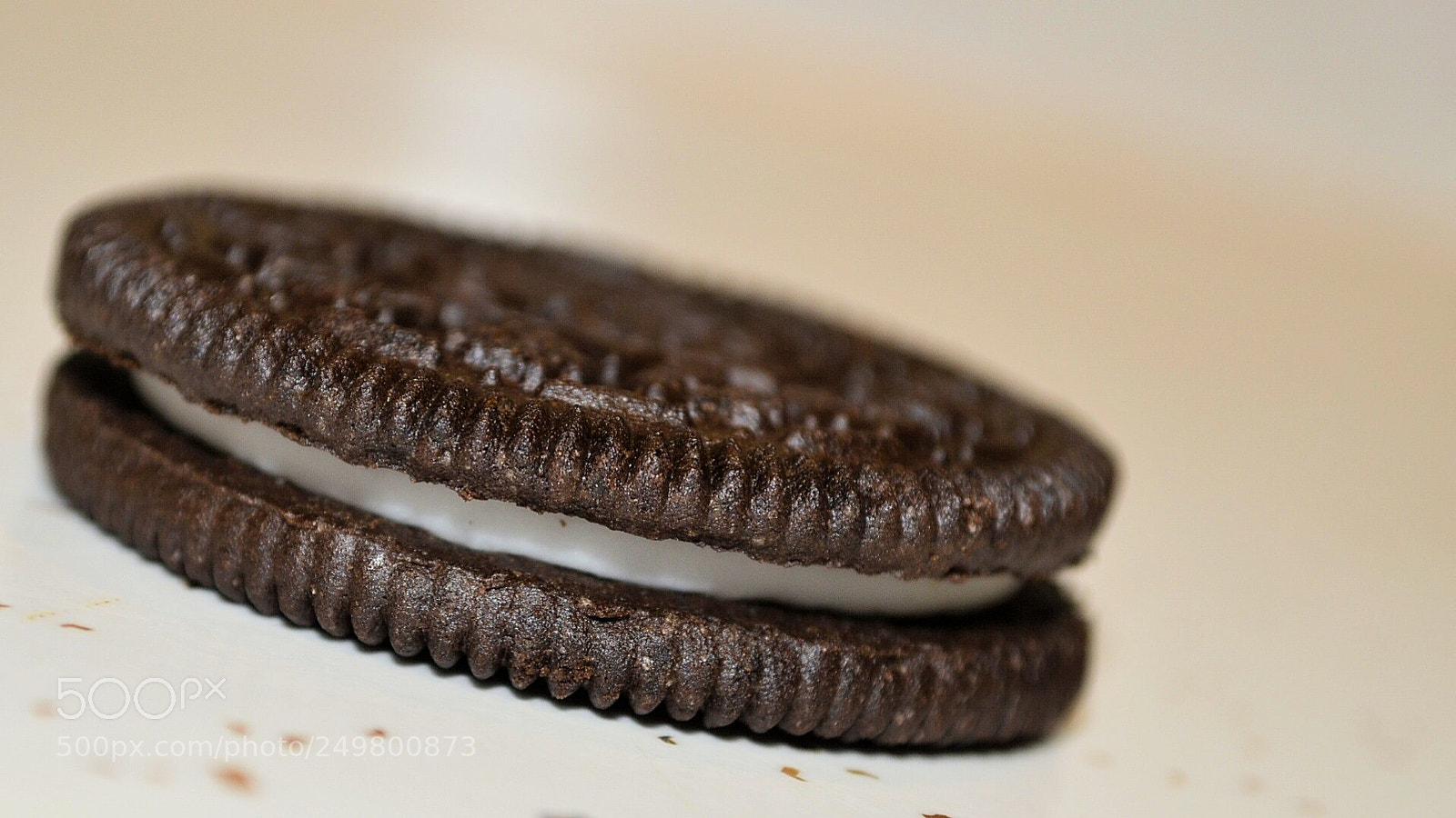 Nikon D7000 sample photo. Myfavorite photography
