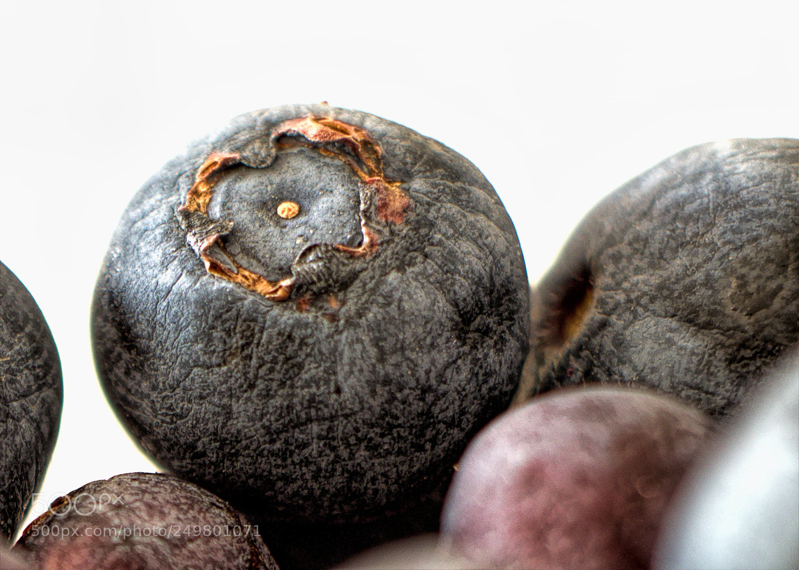 Nikon D810 sample photo. Blue berry photography