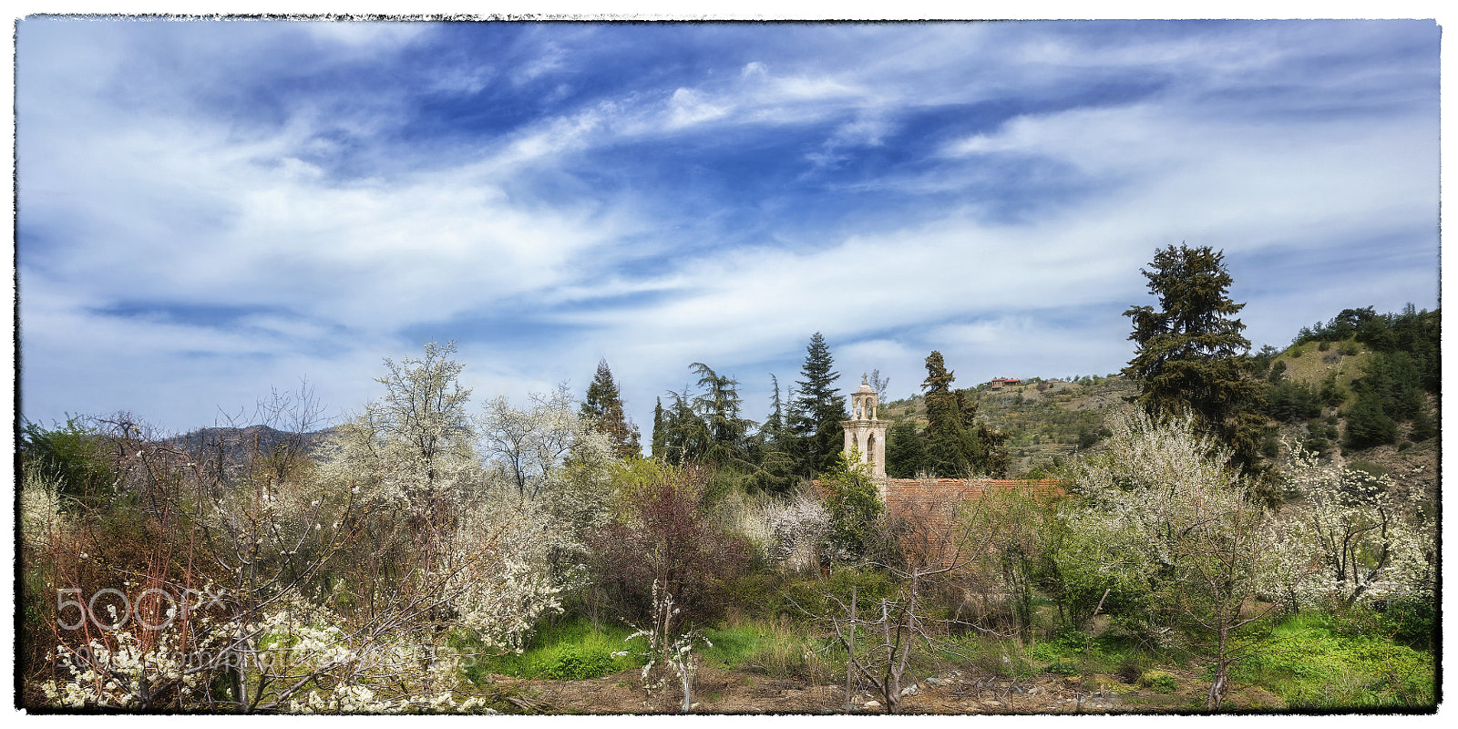 Nikon D800 sample photo. Spring day photography