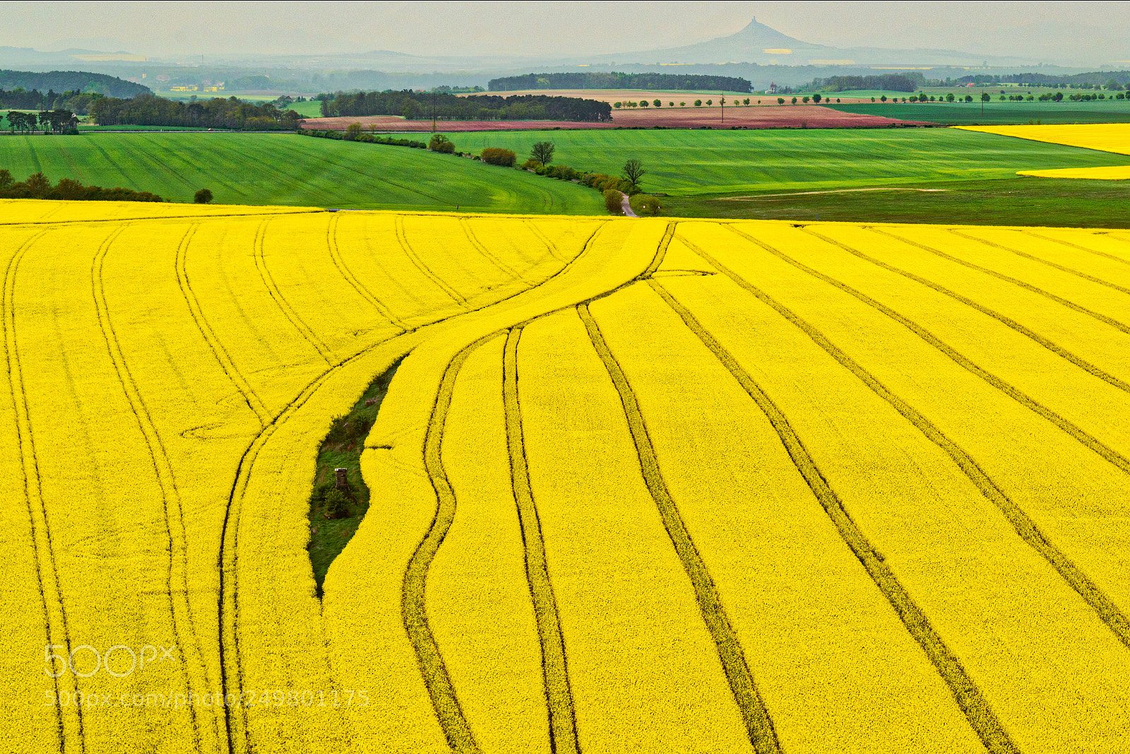 Nikon D800 sample photo. Small island in the photography