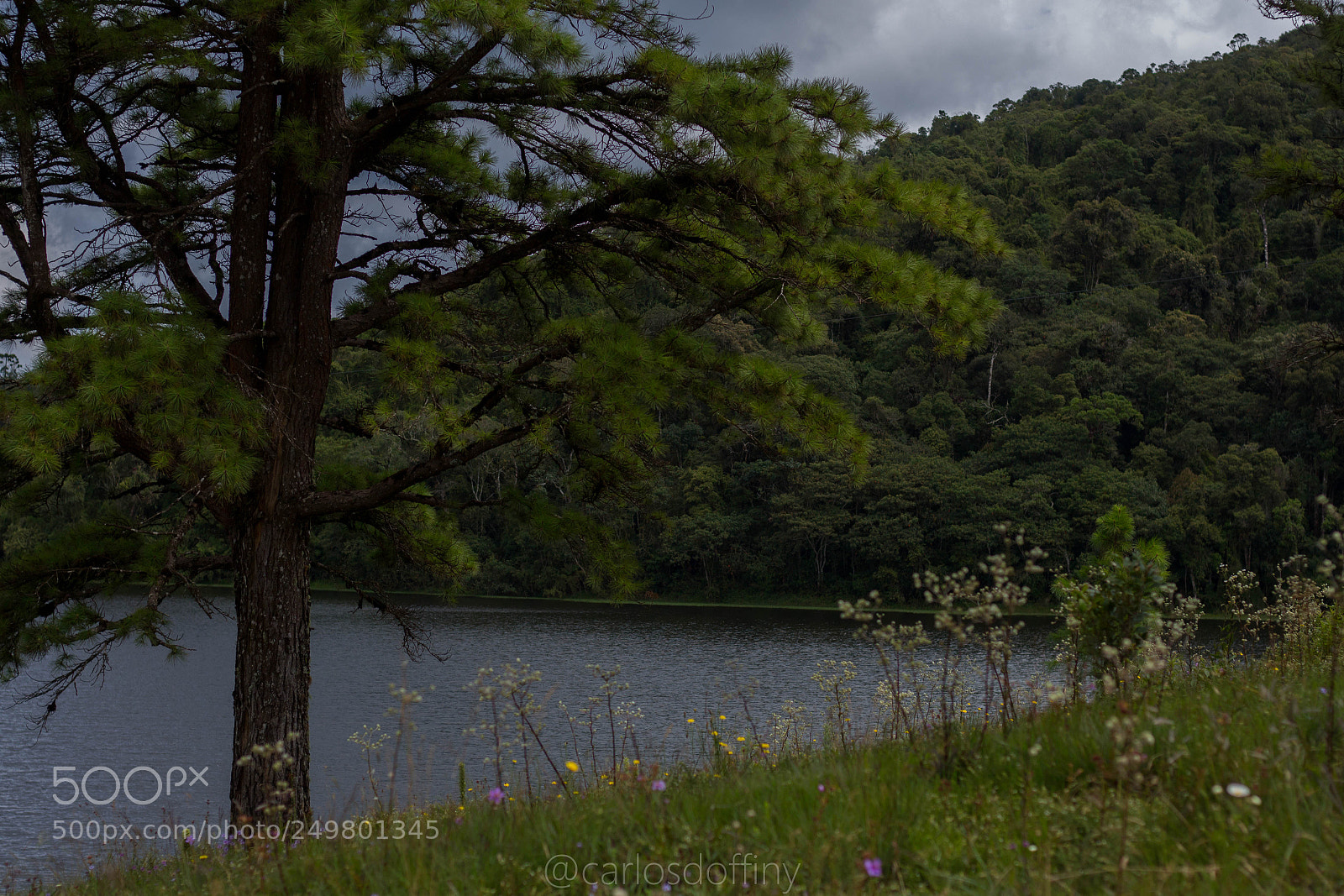 Canon EOS 700D (EOS Rebel T5i / EOS Kiss X7i) sample photo. Untitled photography