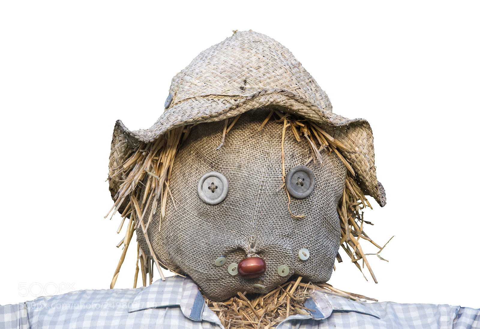 Sony Cyber-shot DSC-RX10 III sample photo. Isolated scarecrow head photography