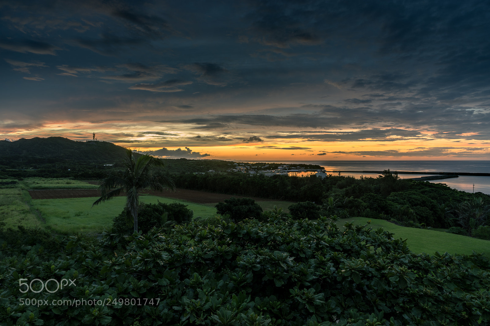 Sony a7 sample photo. Japan photography