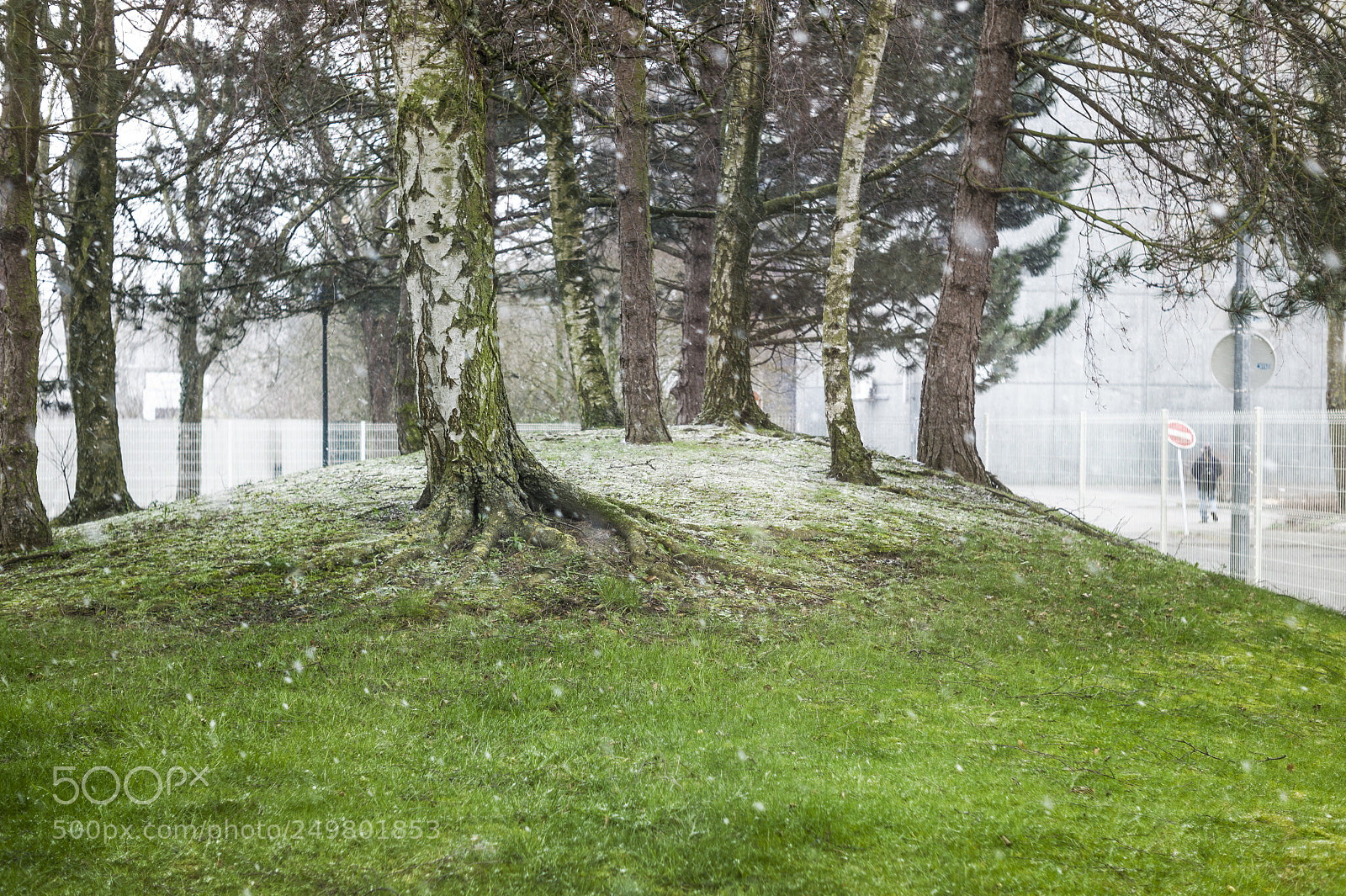 Leica M9 sample photo. Lille photography