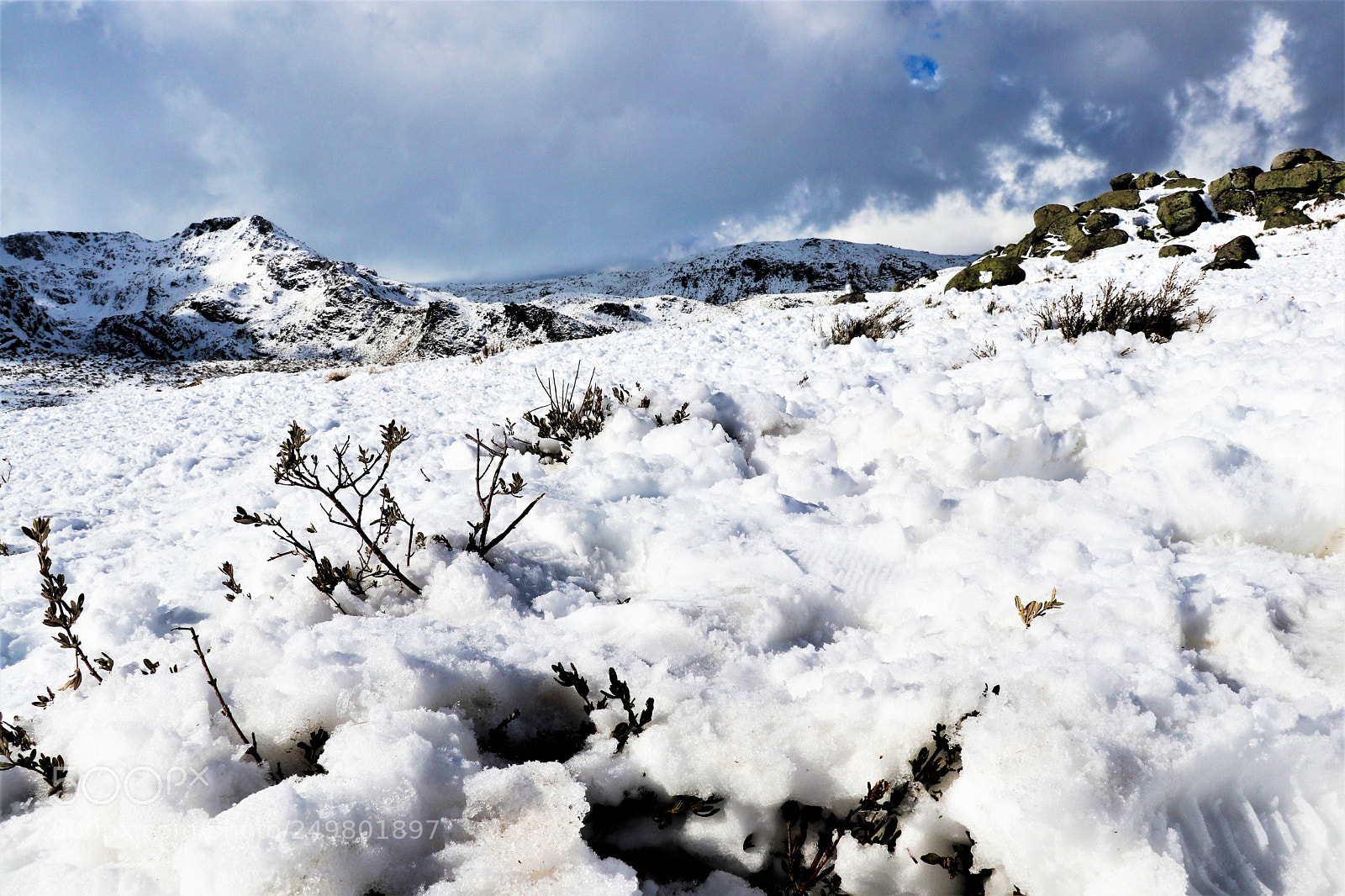Canon EOS 80D sample photo. Snow photography
