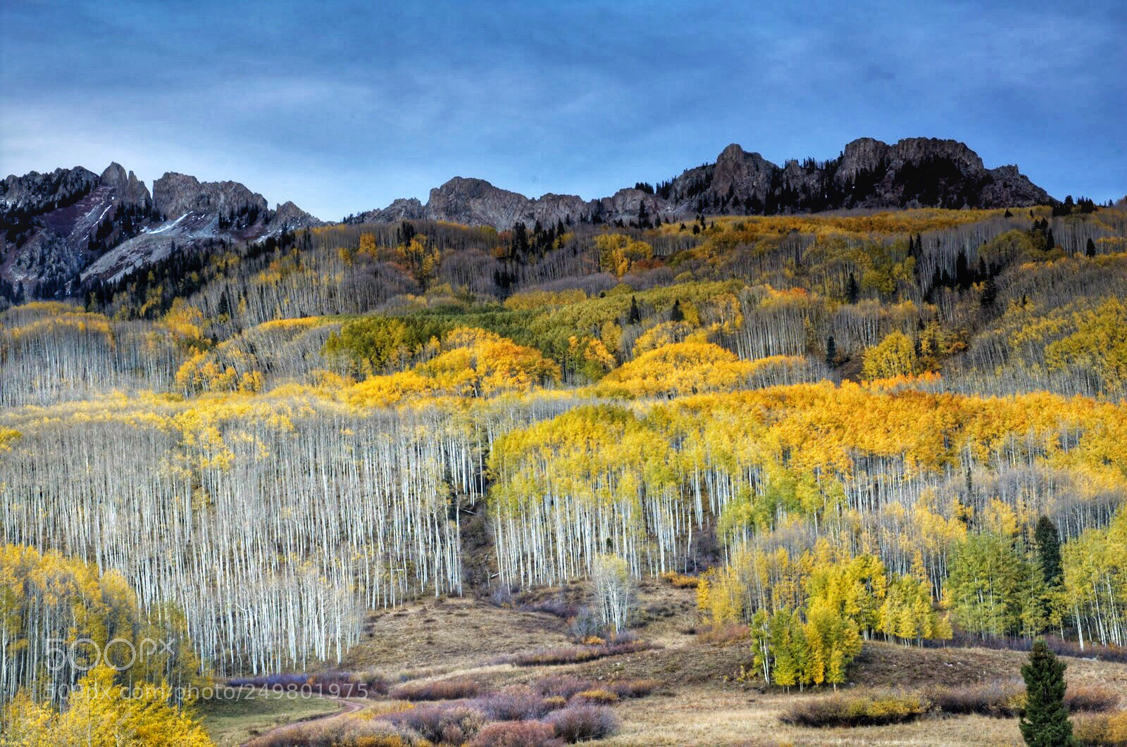 Nikon D70 sample photo. Kebler pass, fall photography