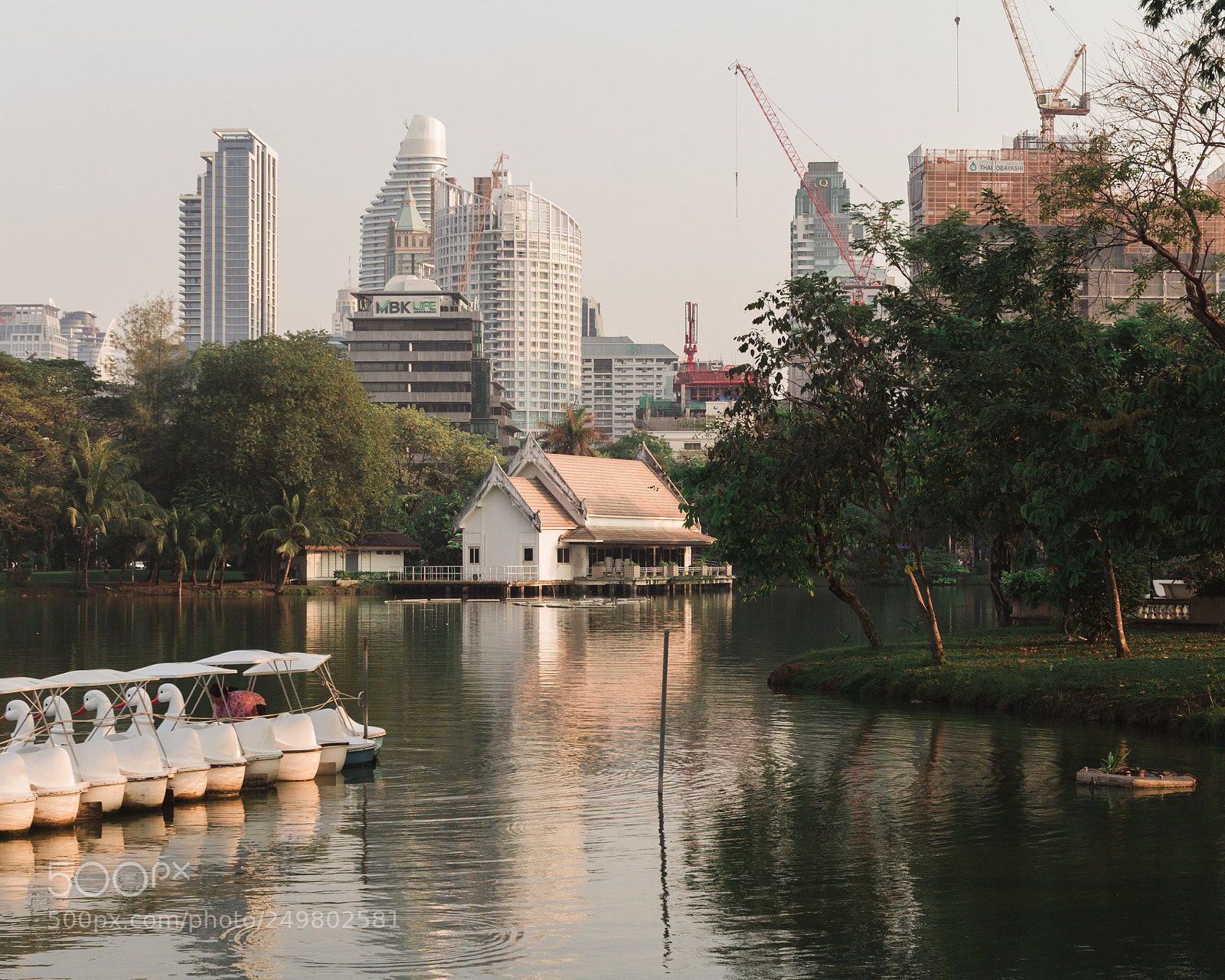 Canon EOS 1300D (EOS Rebel T6 / EOS Kiss X80) sample photo. Pond in lumphini park photography