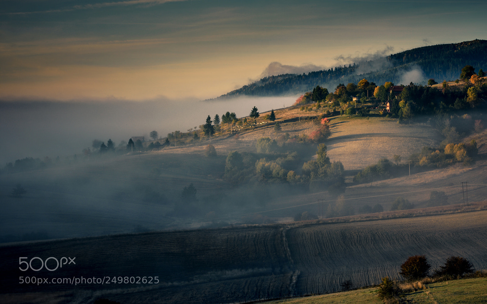 Nikon D7200 sample photo. Misty valley photography