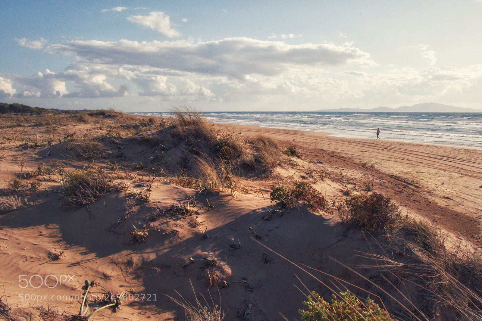 Canon EOS 760D (EOS Rebel T6s / EOS 8000D) sample photo. Beach walk photography