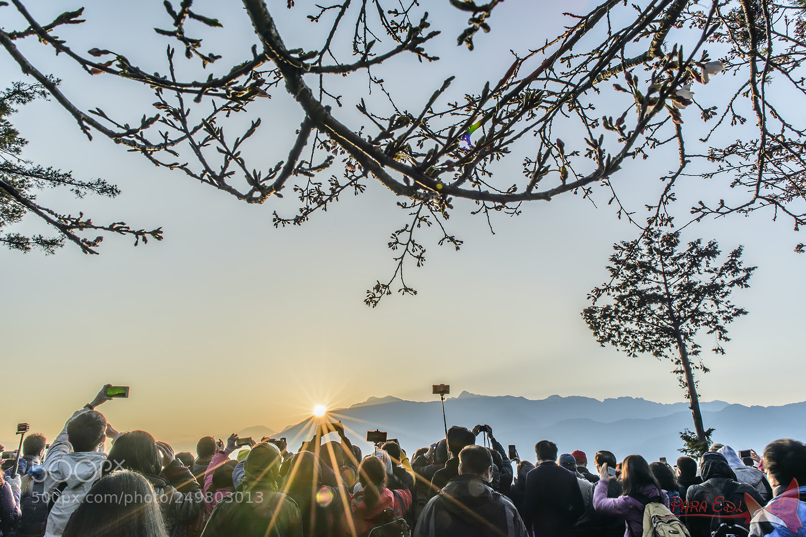 Nikon D800E sample photo. A-li-shan photography