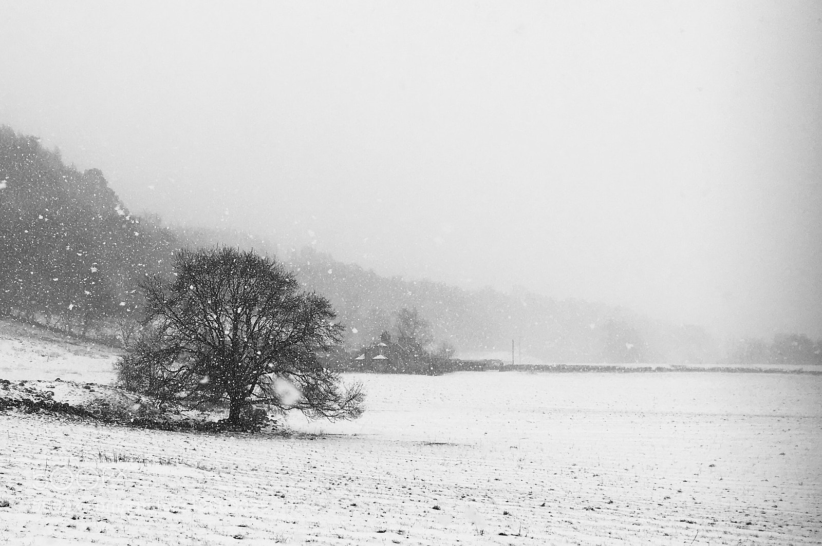 Apple iPhone 6s sample photo. Still snowing!! photography