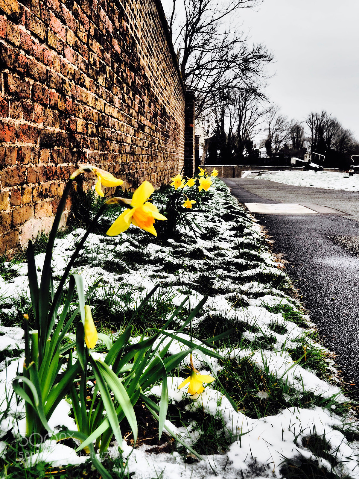 Olympus OM-D E-M5 II sample photo. Spring & winter ! photography