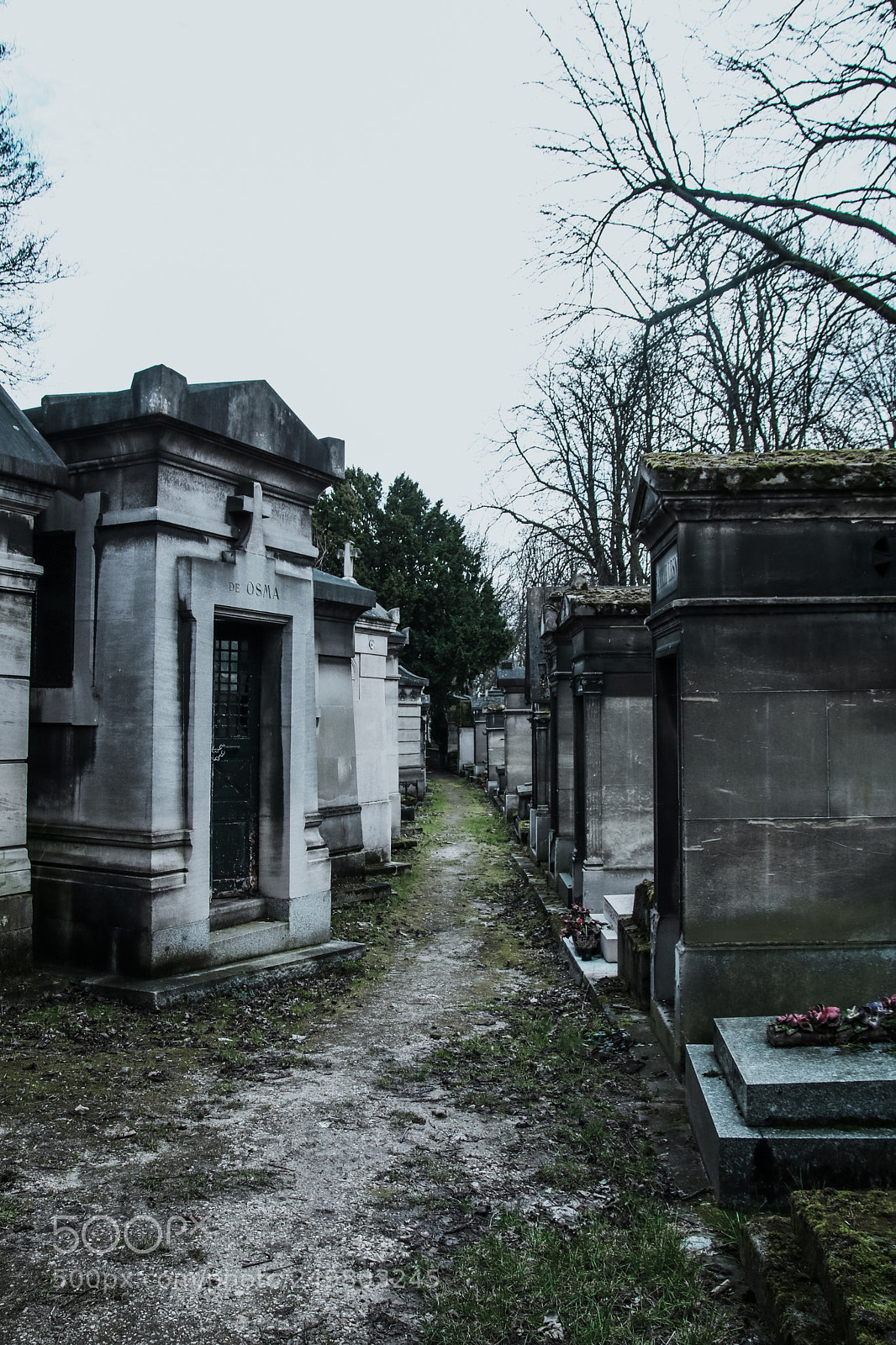 Canon EOS 750D (EOS Rebel T6i / EOS Kiss X8i) sample photo. City of bones photography