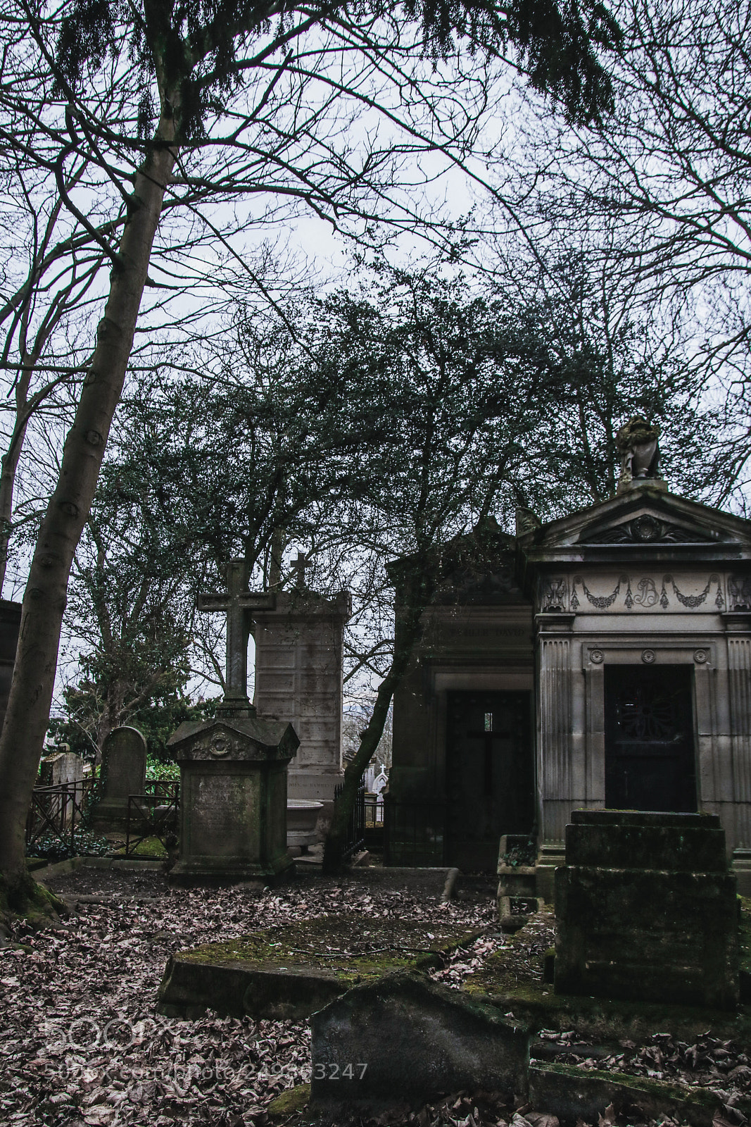 Canon EOS 750D (EOS Rebel T6i / EOS Kiss X8i) sample photo. City of bones photography