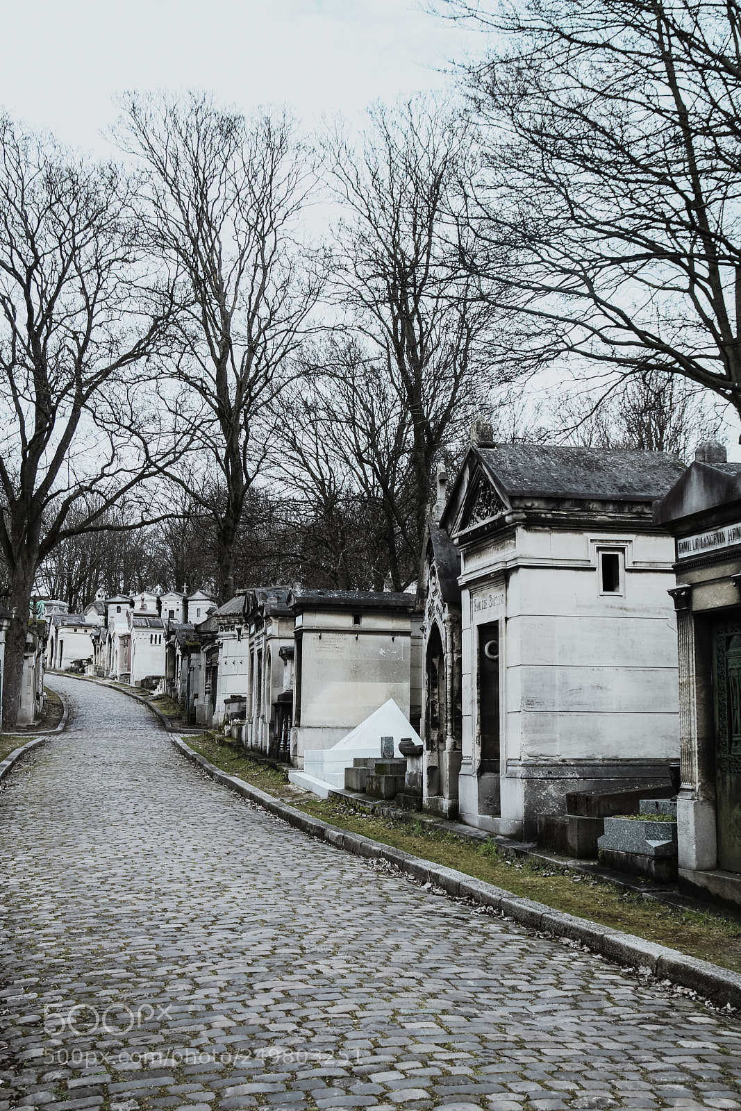 Canon EOS 750D (EOS Rebel T6i / EOS Kiss X8i) sample photo. City of bones photography