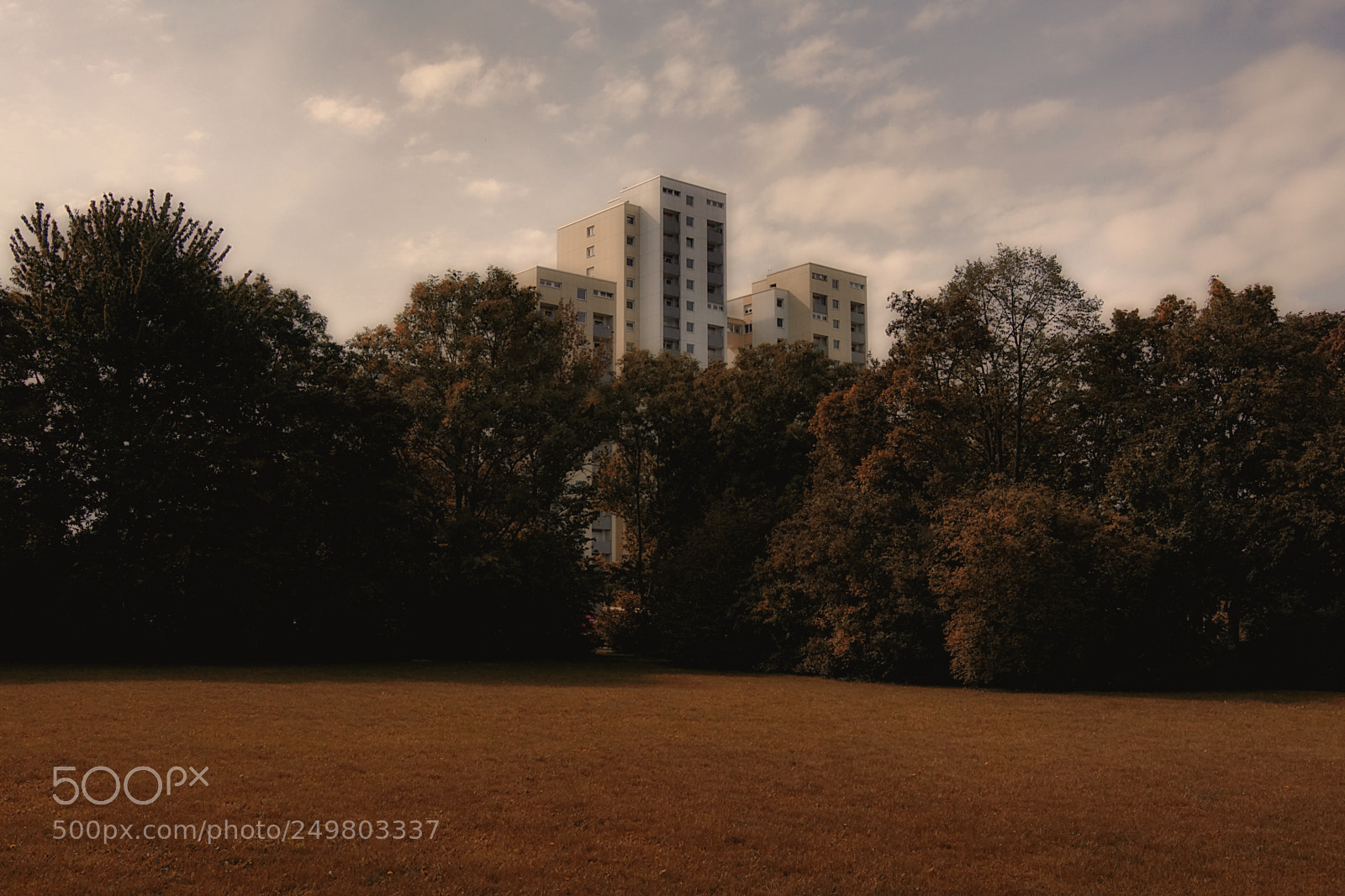 Sony ILCA-77M2 sample photo. Afternoon photography