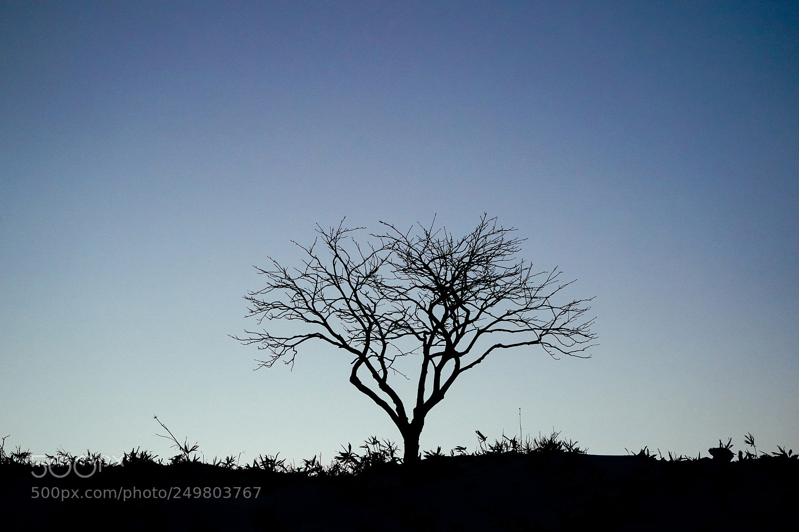 Sony a9 sample photo. Color photography