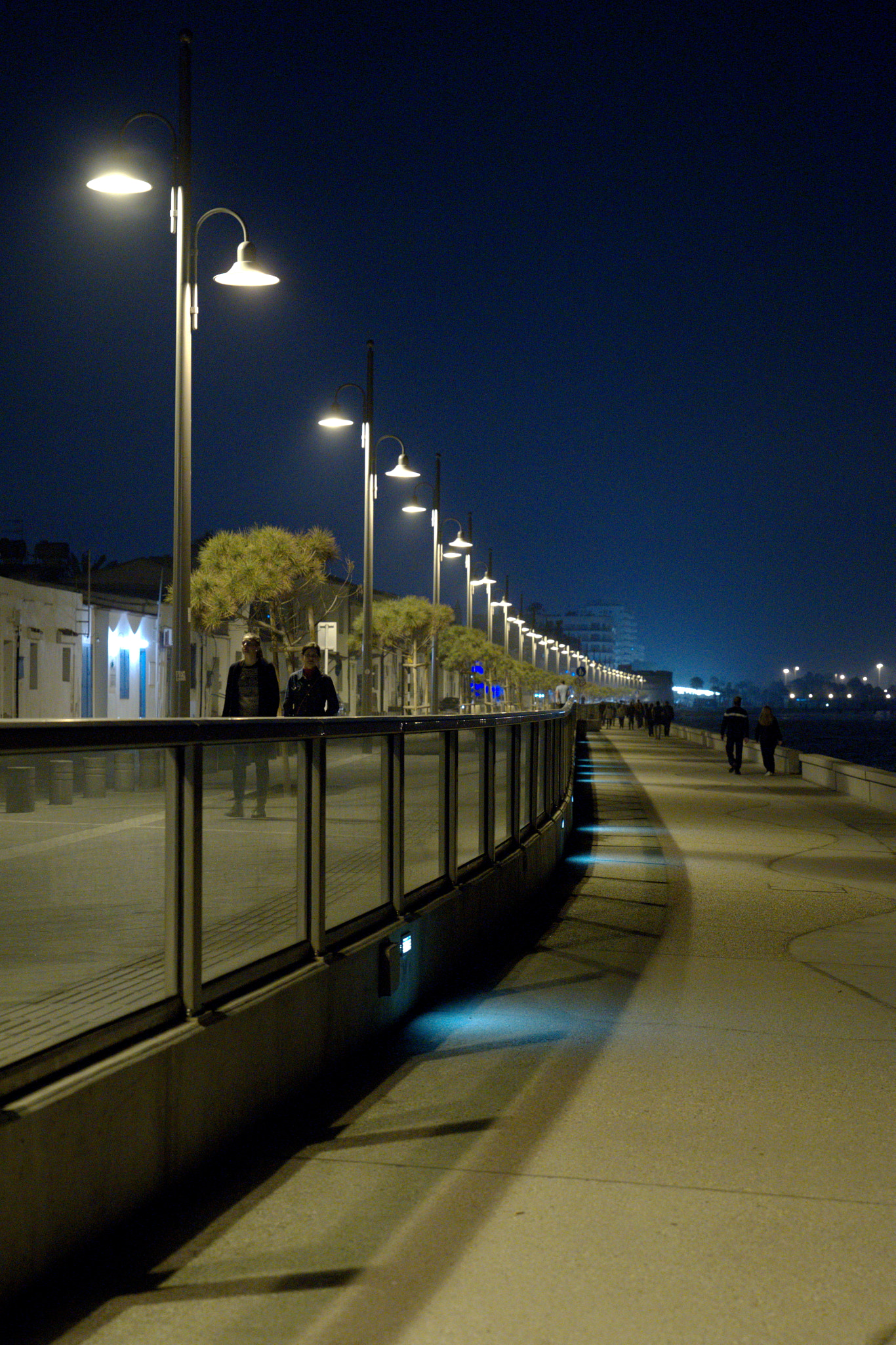 Canon EOS 6D + Canon EF 300mm F2.8L IS II USM sample photo. Promenade in larnaca photography