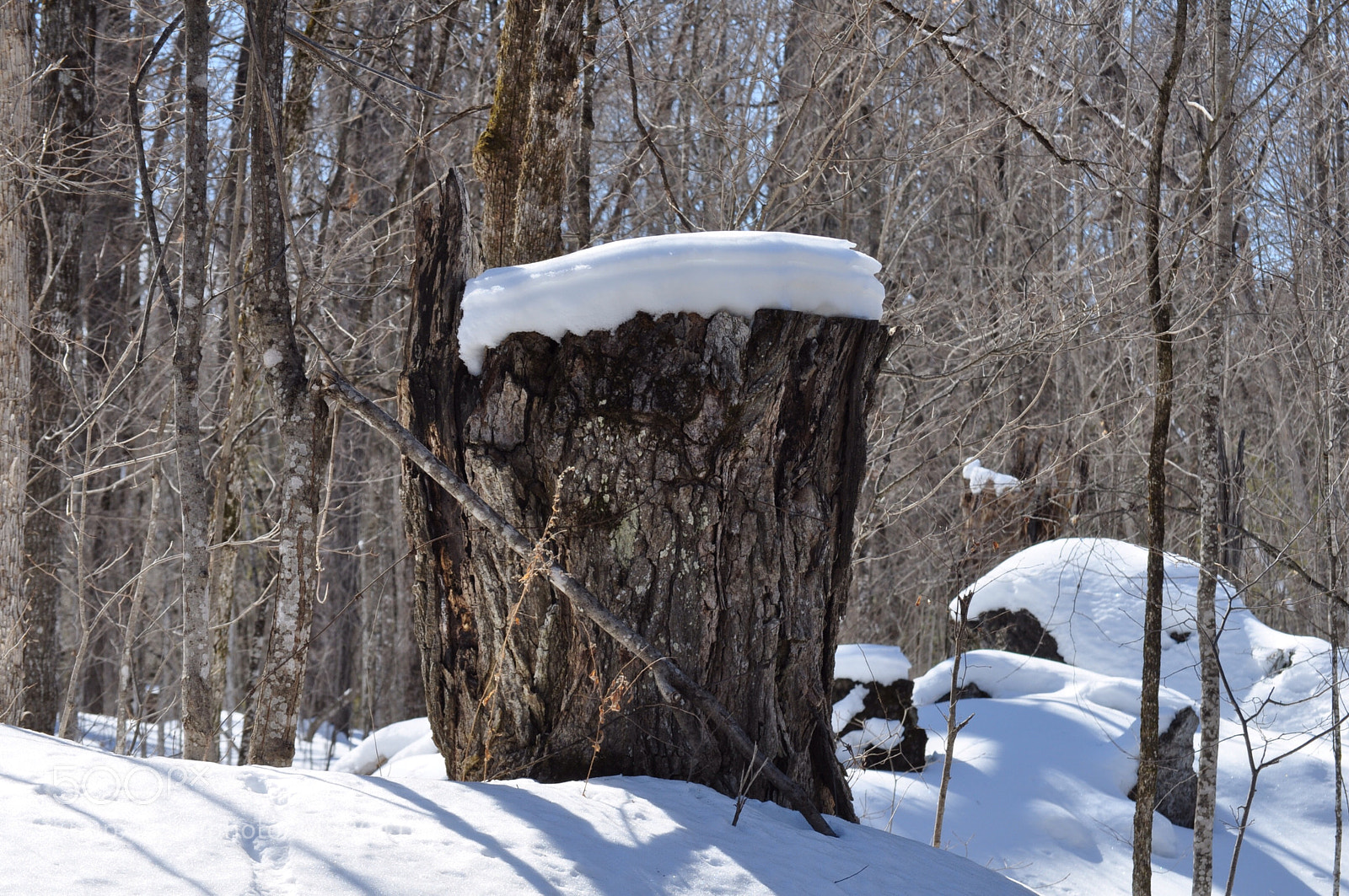 Nikon D5000 sample photo. Snow cap photography