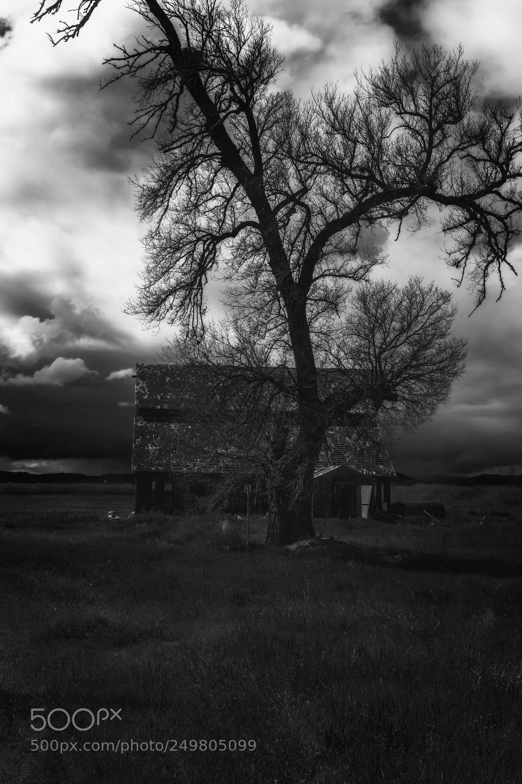 Canon EOS 6D Mark II sample photo. Spooky photography
