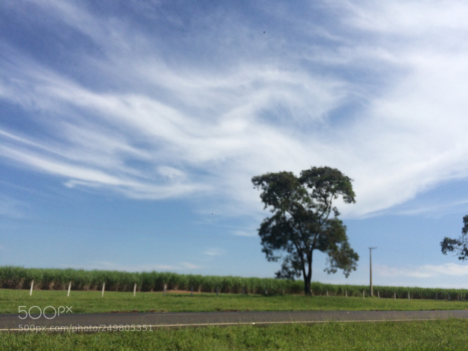 Apple iPhone 5s sample photo. Side three photography