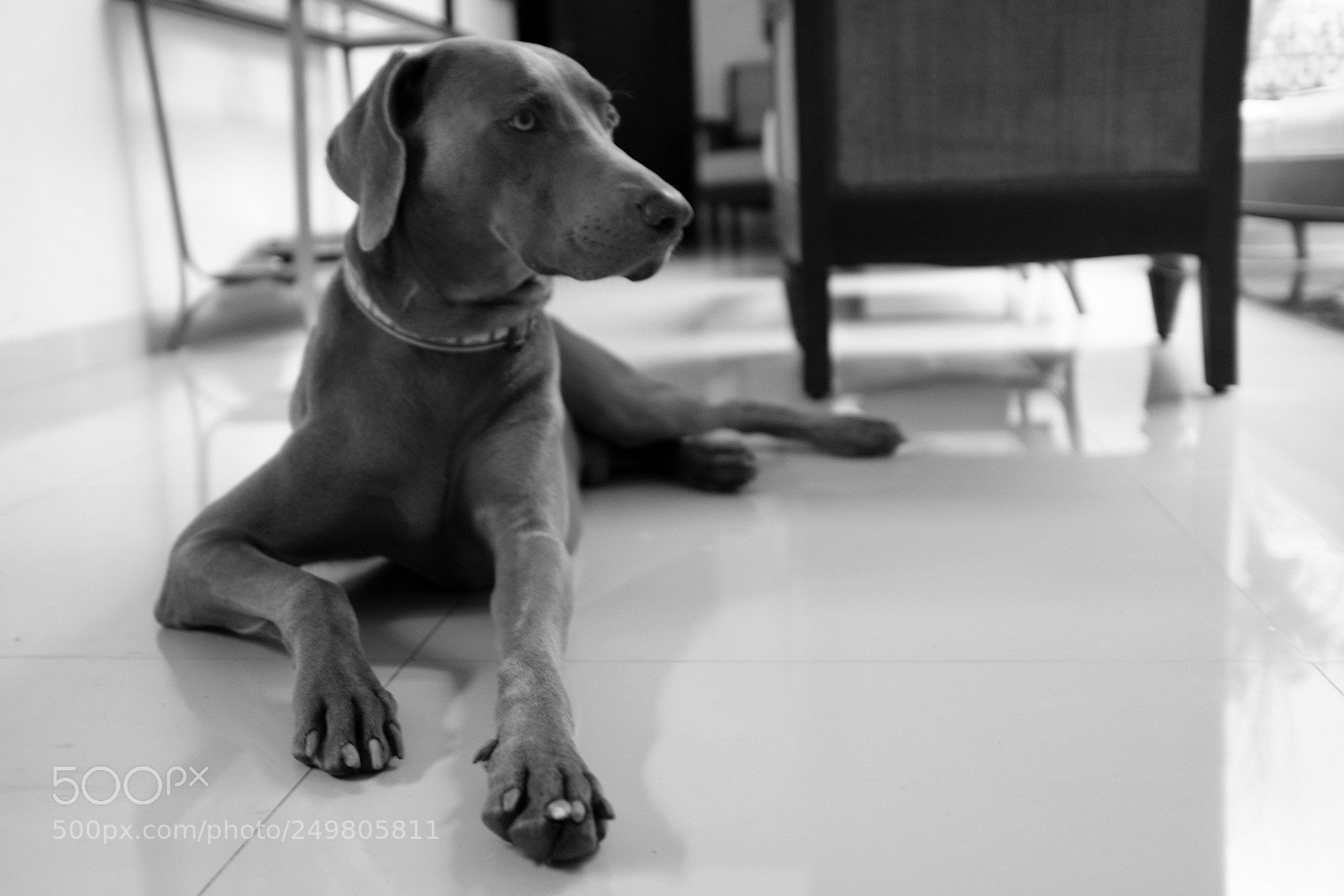Fujifilm X100F sample photo. Sunday mood. photography
